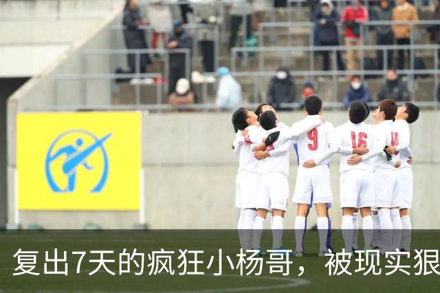 复出7天的疯狂小杨哥，被现实狠狠打了一巴掌