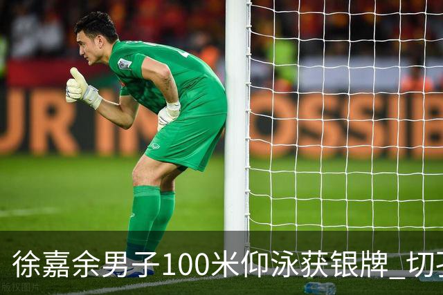 徐嘉余男子100米仰泳获银牌 切孔夺金