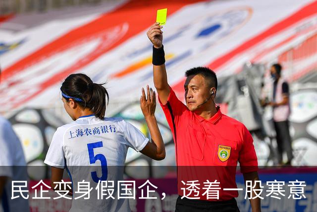 民企变身假国企，透着一股寒意
