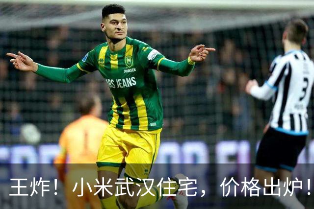 王炸！小米武汉住宅，价格出炉！