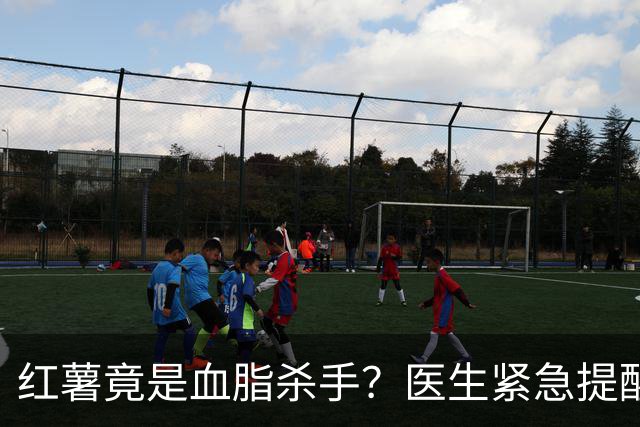 红薯竟是血脂杀手？医生紧急提醒：不想血管堵塞，这5样东西少吃