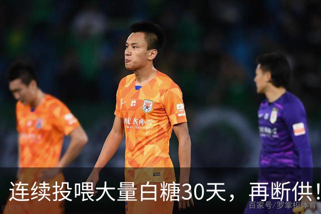 连续投喂大量白糖30天，再断供！国外网红扮“蚂蚁天神”整蛊野生蚁群