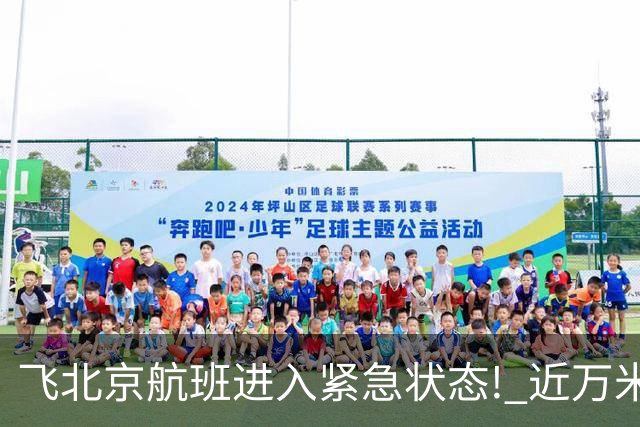 飞北京航班进入紧急状态! 近万米高空放油返航!